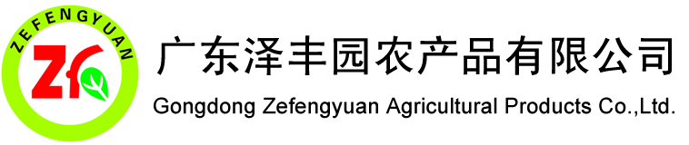 中華龍都網(wǎng)